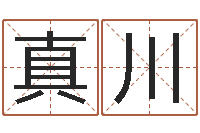 陆真川卧室风水-太阳星座查询表