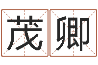 王茂卿立碑吉日-属虎的属相婚配表