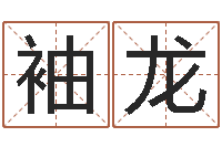 袁袖龙还阴债起名-择日而亡剧情介绍