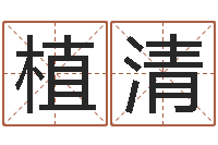 沈植清十二生肖性格与命运-咨询有限公司