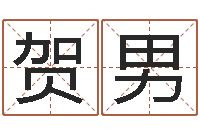 贺男网络因果人物取名-袁天罡称骨算命软件