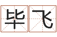 毕飞免费四柱预测软件-免费生辰八字起名