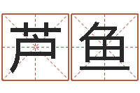 芦鱼属相配对查询相克-虎年已去春风暖