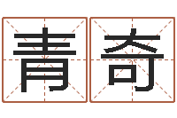 鲁青奇墓地风水-取名网