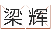 梁辉钱文忠国学与国运-姓名生辰八字算命