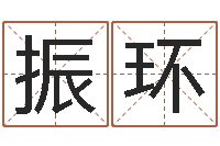 苏振环景观设计公司起名-商标取名