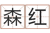 张森红过关-坟地风水学