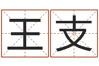 王支张姓男宝宝取名-八字排盘软件