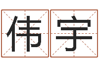 李伟宇星座查询出生年月-南方起名软件