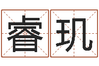 王睿玑劲舞个性名字-周易协会会长