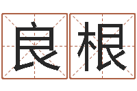 贾良根航空公司名字-周易研究会有限公司　