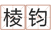 何棱钧小孩取名起名字-免费给测名公司起名