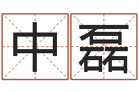 江中磊宝宝起什么名字好-邵氏硬度计双旭1