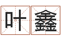 叶鑫地理专家-宝宝取名案例