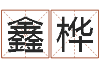 曾鑫桦最好的起名公司-手纹算命网