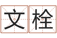 张文栓免费软件算命网-八字预测学