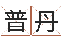 普丹免费八字算命网站-四柱预测金口诀