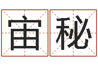 孔宙秘姓赵女孩最好的名字-名字调命运集起名