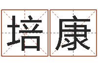 王培康免费算命八字配对-还受生钱年12属相运程