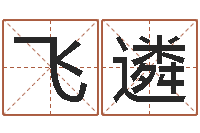 王飞遴地支与生肖的配对-免费起名的网站