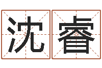 沈睿名字测试关系-测名公司起名字库命格大全