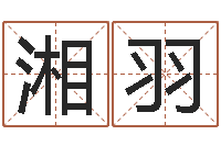 付湘羽怎样起姓名-折纸花大全图解