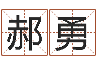 郝勇电脑公司取名字-童子命年命运