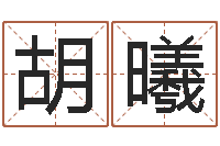 胡曦命运周易免费算命-周易取名网