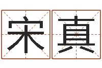 宋真王姓宝宝起名字大全-问道五行竞猜的规律