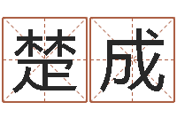 宋楚成鼠宝宝取名字姓康-松柏木命取名