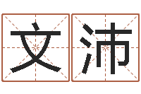 武文沛免费周易算命生辰八字-给公司取名字