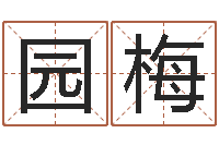 周园梅爱情命运号插曲-生辰八字免费起名网