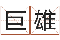 武巨雄公司起名下载-运程测算