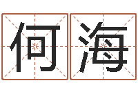 何海名典姓名测试-名字得分测试