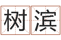 王树滨精科算命-岁寒知松柏