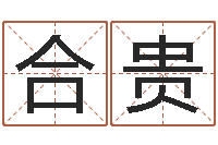 赖合贵生辰八字五行测运程-小孩打分