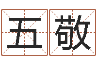 冯五敬鼠宝宝取什么名字好-乙丑年生海中金命