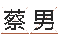 蔡男给宝宝取姓名-设计公司取名