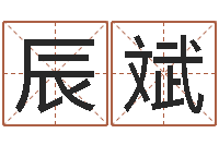 李辰斌免费测八字合婚-测试你的名字