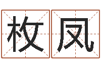 杨枚凤为宝宝起名-八字起名测名平分