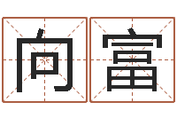 许向富杜氏八卦集团-龙本命年可以结婚吗