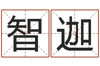 张智迦我的本命年-网上最准的算命网