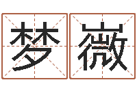 刘梦嶶软件年日历-现代姓名学