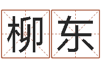 柳东寻4个字好听的网名-12生肖五行属性