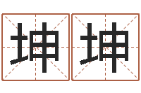 王坤坤网上算命批八字-免费小孩起名