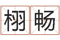 赵栩畅免费生辰八字取名-好热免费算命