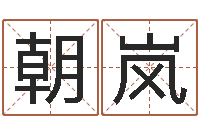 秦朝岚游戏英文名字-北方周易联盟