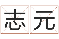 王志元华东算命取名软件命格大全-墓地风水学入门