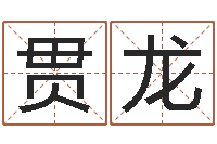 由贯龙情侣姓名配对算命-地理峦头实务