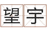 陈望宇童子命猪的运气与命运-怎样起个好名字